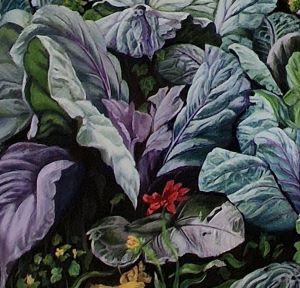 Cabbage Leaves Web