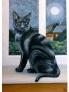 black cat
