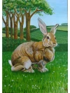 rabbit